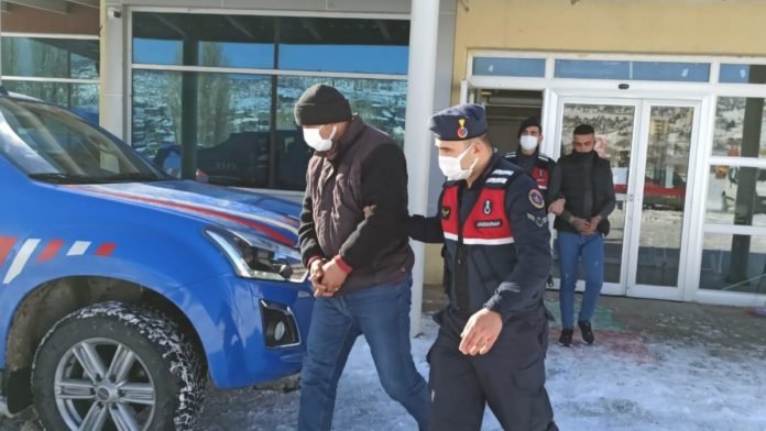 Konya'da Ağıldan 124 Koyun Çalan 7 Hırsız Tutuklandı