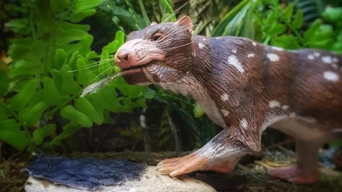 Şili'de 72 Milyon Yıl Öncesine Dayanan Yeni Bir Memeli Hayvanın Kalıntıları Keşfedildi